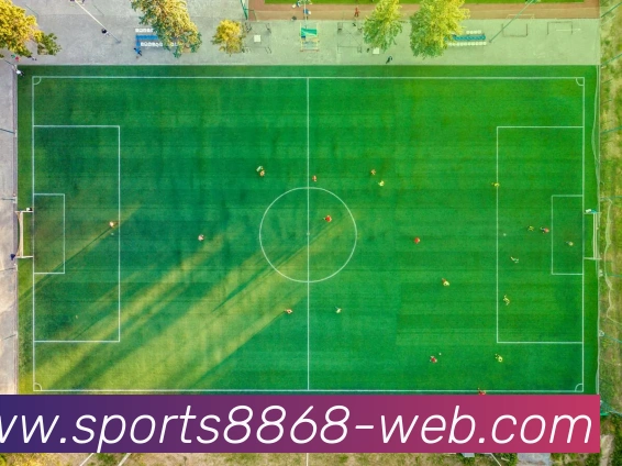 8868体育APP 高清赛事图